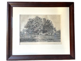 Robert R Wiseman New Haven Ct Artist, Pencil Singed Etching.  Titled Old Oak, Double Beach Connecticut. 1880