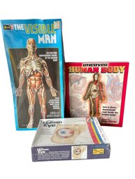 Trio Of Anatomical Educational Model Kits Including NIB The Visible Man By Revell
