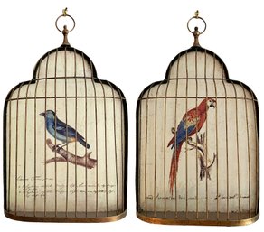 A Pair Of Ornithological Prints In Metal Cage Frames