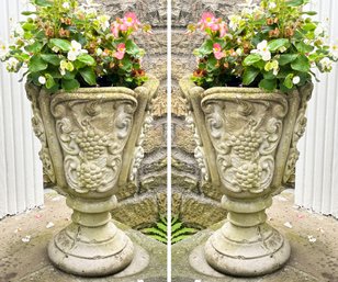 A Pair Of Cast Stone Urns With Grape Leaf Motif And Life Plants!