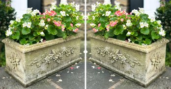 A Pair Of Cast Stone Planters With Live Plants!