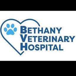 Bethany Vet - Cat Wellness - $260
