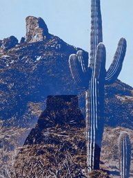 M. Hannan Artists Proof Of A Saguaro Cactus In The Desert, Signed By The Artist