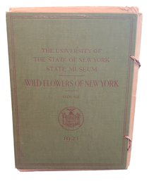 Antique 1921 University Of The State Of New York State Museum Wild Flowers Of New York 264 Plates