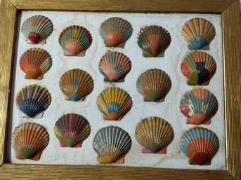 Framed Painted Scallop Shells.