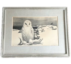 Snowy Owl Lithograph, Signed