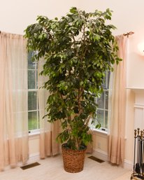 Large Faux Potted Birch Tree With White Lights