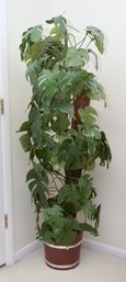 6' Foot Faux Monstera Minima Potted Plant In Bucket