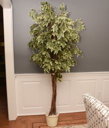 6' Faux Fiscus Plant