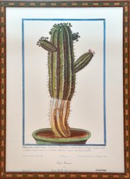 Cactus Print Hortus Romanus By Georgia Bonelli