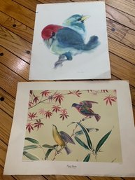 2 Vintage Bird Prints - Unframed