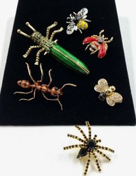Buggin' Out Brooches - 6 Piece Collection