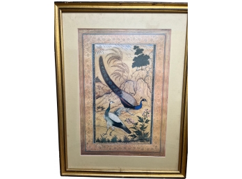 Framed Peacock Print