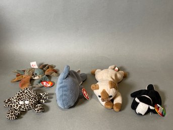 Collection Of Beanie Toys