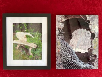 Two Still Life Photographs By Local Artists Carol Kelly And Ken Kelly