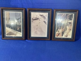 3 Large Photographs, All In Great Shape, Framed Under Glass And Double Matted, Professionally Framed