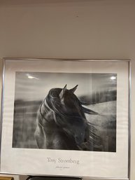 Fierce Grace - Framed Horse Print