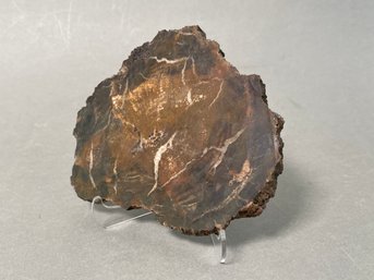 Petrified Wood From Arizona, With Stand