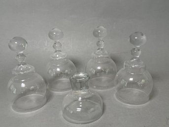 Glass Dome Collection