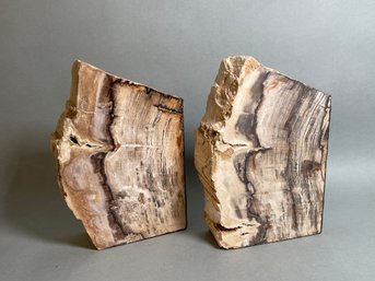 A Beautiful Set Of Petrified Wood Book Ends