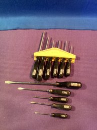 (Tempo)chrome Screwdrivers, And Torx Screwdrivers All In Great Shape Hardly Used (11)