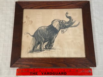Signed D Schwartz Original Charcoal Or Pencil Sketch Of Elephant 14.5x12.5 Wood Framed Plexi