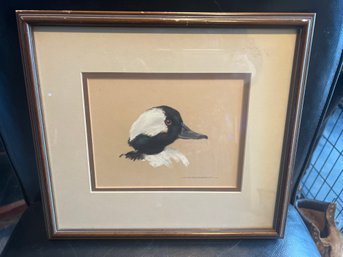 Bufflehead Duck Framed Pastel Print - H.P. McLaughlin