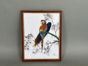 Beautiful Parrot Art With Feathers