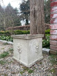 Concrete Lions Head SM Square Planter