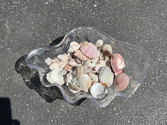 Awesome Plastic Shell Bowl Filled With Shells