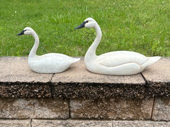 Nice Pair Whistling Swans Hand Carved Decoys Marinus Veryzer Sayville Long Island NY
