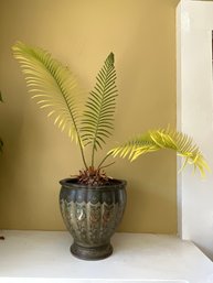 Ceramic Planter With A Sago Palm 8x7.75in