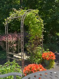 Arched Metal Garden Trellis