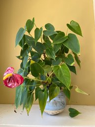 Slip Decorated Hand Thrown Ceramic Planter With Flamingo Lily Laceleaf  6x6in