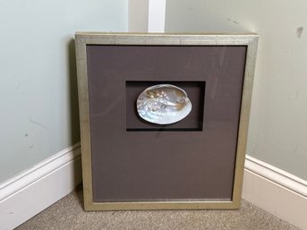 Beautifully Framed Oyster & Pearl Wall Decor