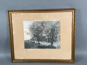 Lawson 'Apple Blossoms' Pencil Signed Framed Print