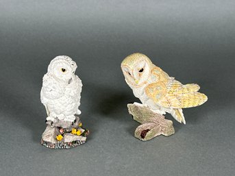 Vintage Franklin Mint 'The Magnificent World Of Owls' Figures