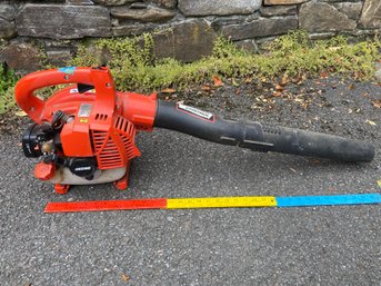 Echo PB-250LN Handheld Leaf Blower 36in