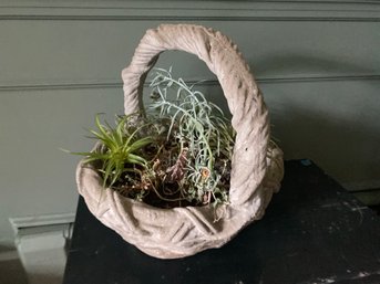 Cement Cast Basket With Succulents