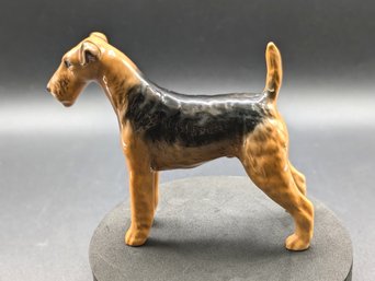 A Handsome Airedale Terrier 'cast Iron Monarch'