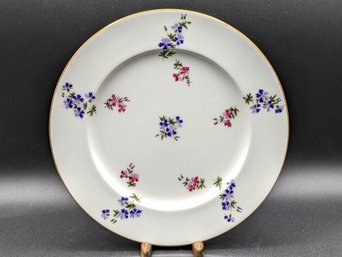 Rare SPODE Dinner Plates Stamped TIFFANY From 1887