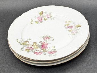 Lovely Antique China Plates From Austria - Over 100 Years Old!