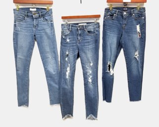 3 Pairs Of Distressed Denim Skinny Jeans By: The Loft, Scoop And Hidden Jeans Sizes 2/4   (lot F)