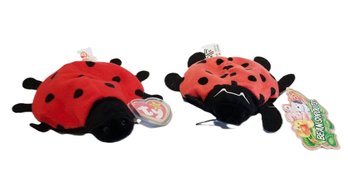 Ty Beanie Baby Lucky The Ladybug  &  Beanie Sprouts 'Dottie' The Lady Bug