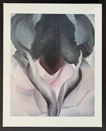 Georgia O Keeffe   Black Iris Offset Lithograph