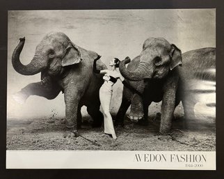 Richard Avedon Fashion Dovima With Elephants, Paris Fine Art Print