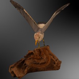 Vintage Wooden Seagull Mounted On Driftwood