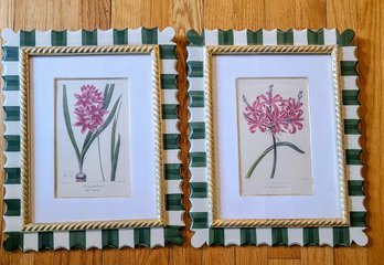 Framed Botanical Prints