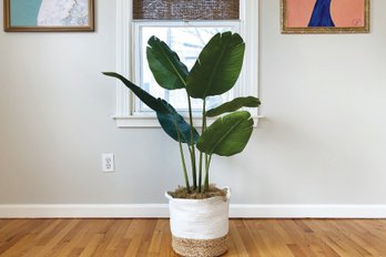 Faux Banana Plant In Woven Rope Planter