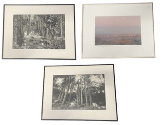 Three Signed Photographs By Heather Neal